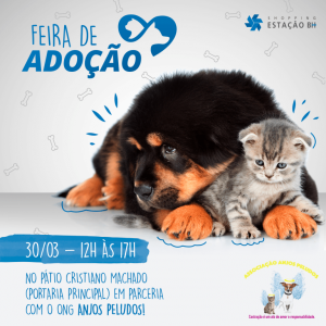 Shopping Estação BH promove feira de adoção de cães e gatos no sábado, 30 de março