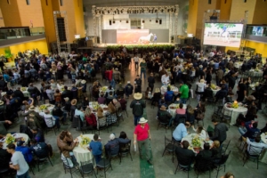 Dois leilões agitam a 38ª Exposição Nacional do Cavalo Mangalarga Marchador, nesta semana