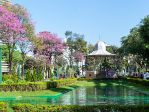 Passeie por BH de casa: conheça o Circuito Cultural da Liberdade