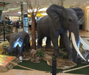 Animais selvagens invadem o BH Shopping