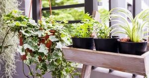 Jardim no apartamento: confira os benefícios