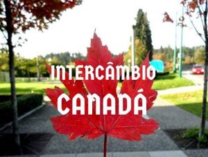 Oito motivos para fazer um intercâmbio no Canadá