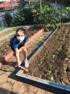 Alunos do Colégio São Francisco Xavier aprendem a fazer biofertilizante para horta da escola