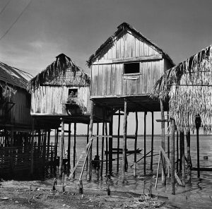 Seminário cirtual aborda a relação entre fotografia e arquitetura na programação do Pampulha Território Museus