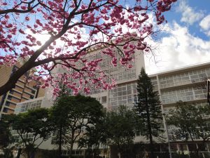 Prédio da Escola de Design da UEMG é tema do segundo episódio da série de vídeos “Visita Vertical”, na programação do Museu Regional da Pampulha