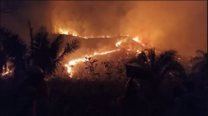 Minas Gerais bate recorde de queimadas entre janeiro e agosto de 2021 e incêndios afetam a transmissão de energia