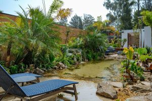 Horto dos Buritis apresenta piscina natural e jardim inspirado em Burle Marx na CASACOR Minas