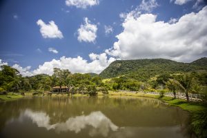 Fazenda Centenária abre as portas ao público