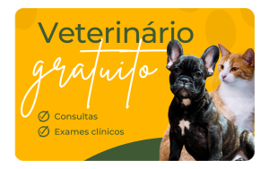 Atendimento Veterinário Gratuito no Brasil: Uma Lista Abrangente de Recursos